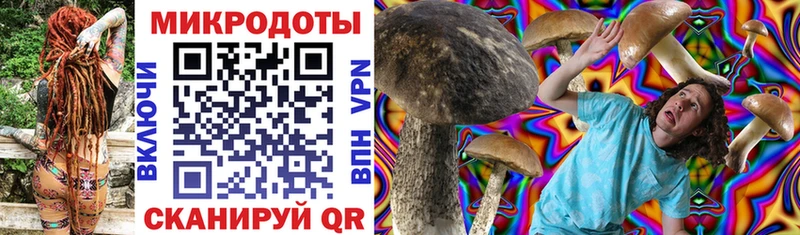 наркошоп  Верхняя Пышма  Галлюциногенные грибы MAGIC MUSHROOMS 