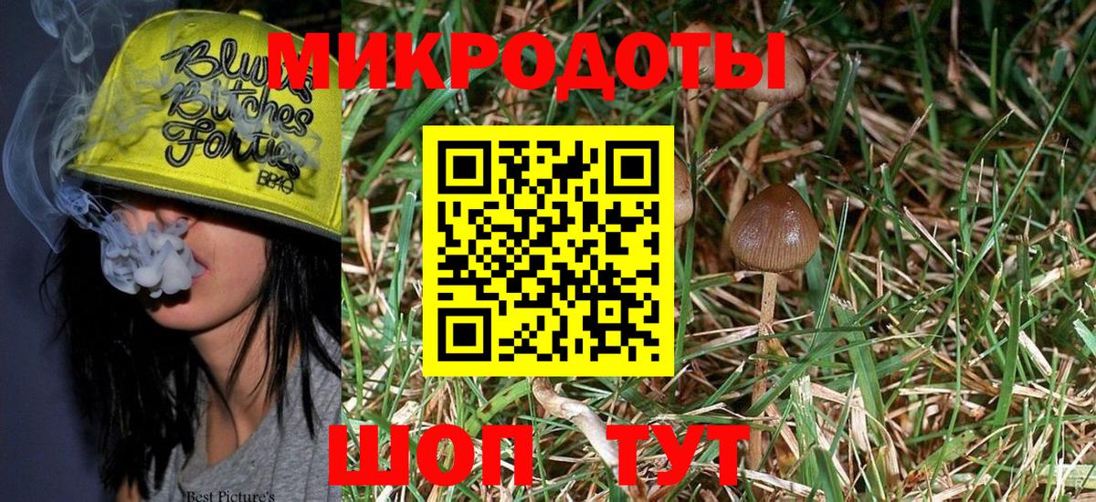 Псилоцибиновые грибы GOLDEN TEACHER Верхняя Пышма