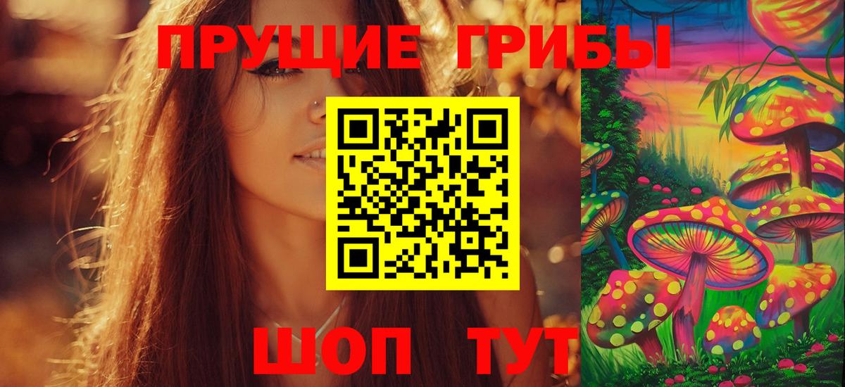 даркнет сайт  Псилоцибиновые грибы мицелий  Вход с VPN  Верхняя Пышма 