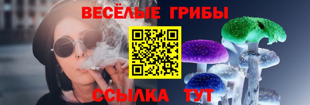 Галлюциногенные грибы мицелий Верхняя Пышма